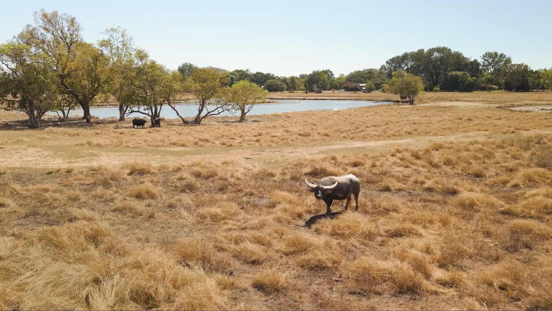 Mt Bundy Station